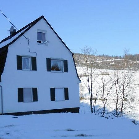 Villa Haus Elpe Naehe Meschede Winterberg Olsberg Esterno foto
