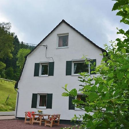 Villa Haus Elpe Naehe Meschede Winterberg Olsberg Esterno foto
