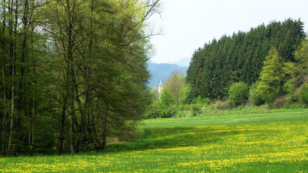 Villa Haus Elpe Naehe Meschede Winterberg Olsberg Camera foto