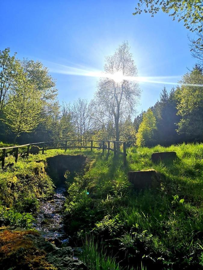 Villa Haus Elpe Naehe Meschede Winterberg Olsberg Esterno foto